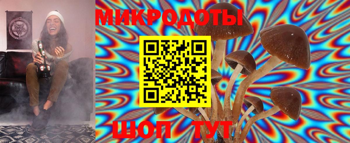 Галлюциногенные грибы мухоморы Йошкар-Ола
